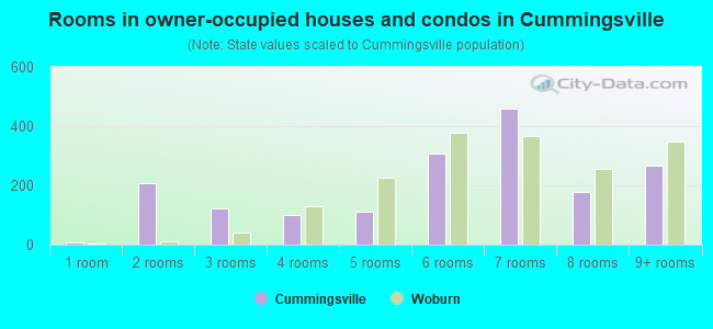 Rooms in owner-occupied houses and condos in Cummingsville