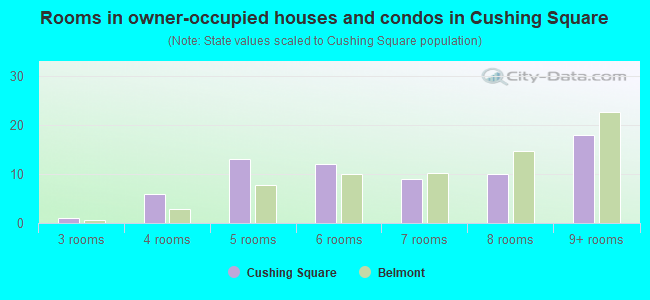 Rooms in owner-occupied houses and condos in Cushing Square