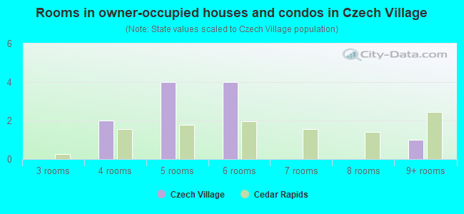Rooms in owner-occupied houses and condos in Czech Village