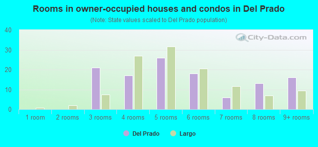 Rooms in owner-occupied houses and condos in Del Prado