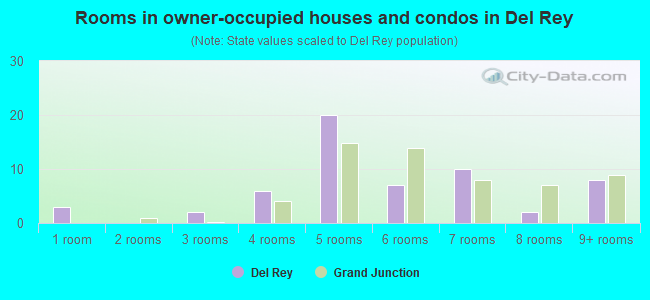Rooms in owner-occupied houses and condos in Del Rey