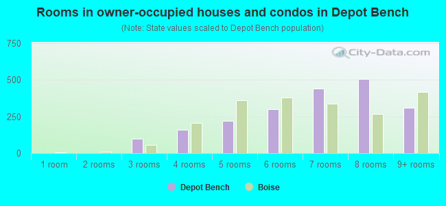 Rooms in owner-occupied houses and condos in Depot Bench