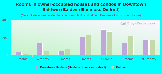 Rooms in owner-occupied houses and condos in Downtown Baldwin (Baldwin Business District)