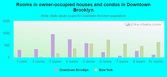 Rooms in owner-occupied houses and condos in Downtown Brooklyn