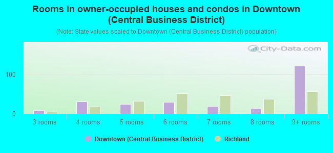 Rooms in owner-occupied houses and condos in Downtown (Central Business District)