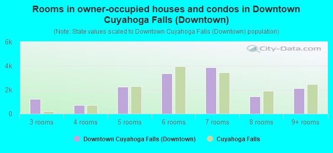 Rooms in owner-occupied houses and condos in Downtown Cuyahoga Falls (Downtown)