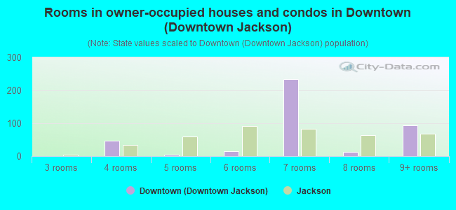 Rooms in owner-occupied houses and condos in Downtown (Downtown Jackson)