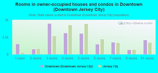 Rooms in owner-occupied houses and condos in Downtown (Downtown Jersey City)