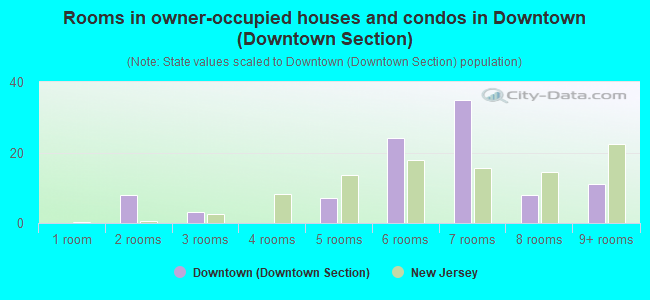 Rooms in owner-occupied houses and condos in Downtown (Downtown Section)