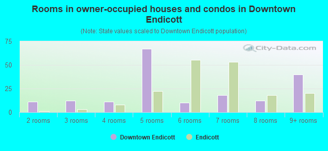 Rooms in owner-occupied houses and condos in Downtown Endicott