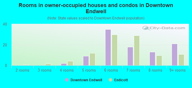 Rooms in owner-occupied houses and condos in Downtown Endwell