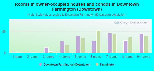 Rooms in owner-occupied houses and condos in Downtown Farmington (Downtown)