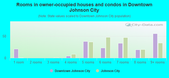Rooms in owner-occupied houses and condos in Downtown Johnson City