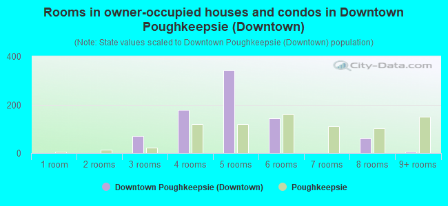 Rooms in owner-occupied houses and condos in Downtown Poughkeepsie (Downtown)