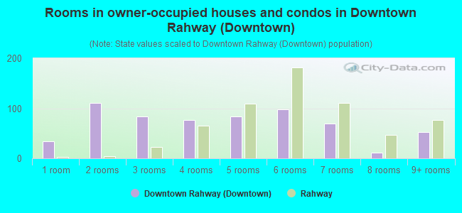 Rooms in owner-occupied houses and condos in Downtown Rahway (Downtown)