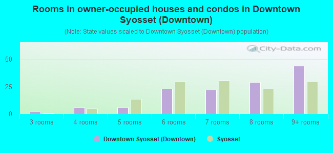 Rooms in owner-occupied houses and condos in Downtown Syosset (Downtown)