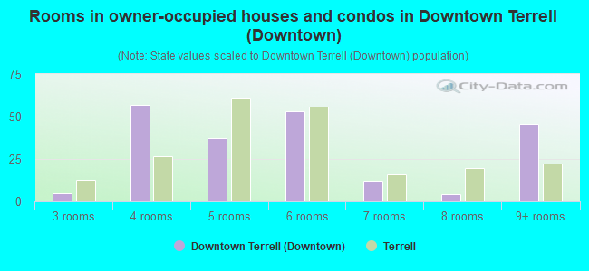 Rooms in owner-occupied houses and condos in Downtown Terrell (Downtown)