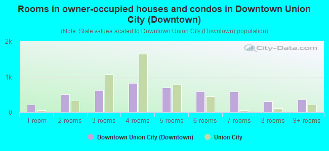 Rooms in owner-occupied houses and condos in Downtown Union City (Downtown)