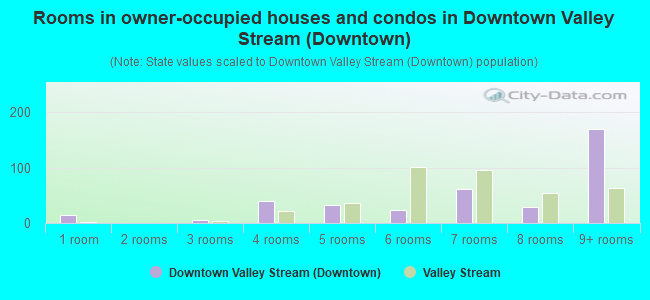 Rooms in owner-occupied houses and condos in Downtown Valley Stream (Downtown)
