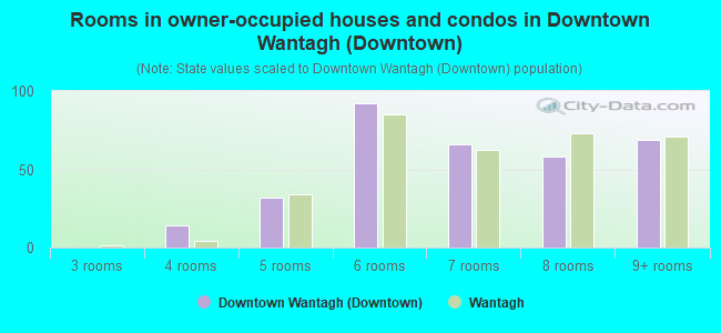 Rooms in owner-occupied houses and condos in Downtown Wantagh (Downtown)