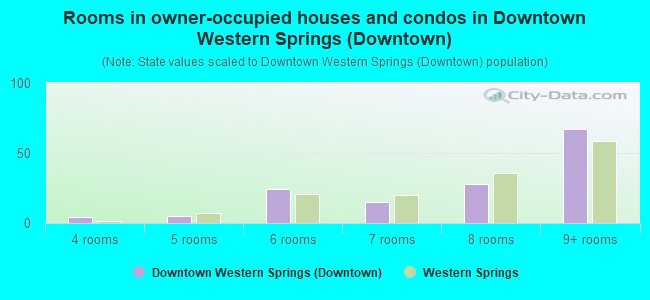 Rooms in owner-occupied houses and condos in Downtown Western Springs (Downtown)