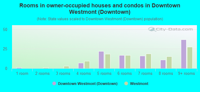 Rooms in owner-occupied houses and condos in Downtown Westmont (Downtown)