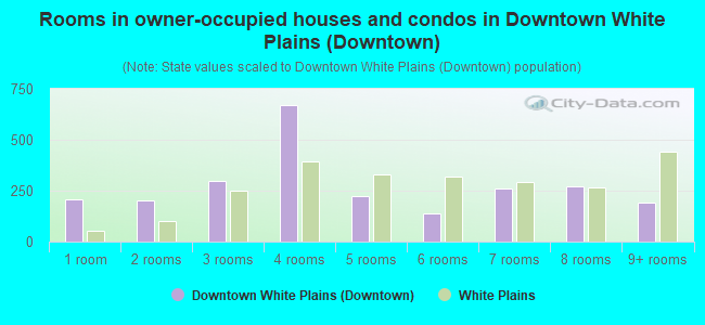 Rooms in owner-occupied houses and condos in Downtown White Plains (Downtown)