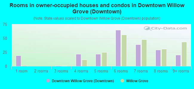 Rooms in owner-occupied houses and condos in Downtown Willow Grove (Downtown)