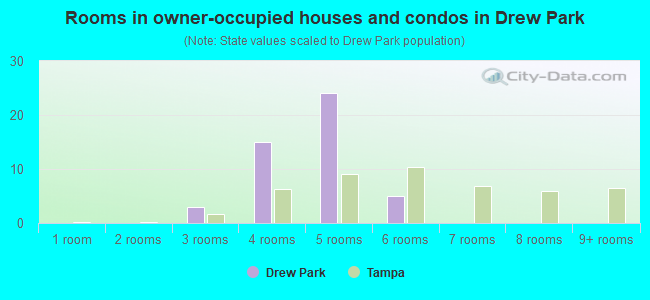 Rooms in owner-occupied houses and condos in Drew Park