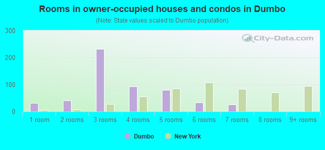 Rooms in owner-occupied houses and condos in Dumbo