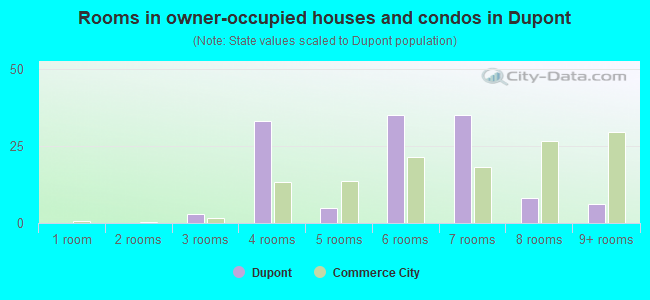 Rooms in owner-occupied houses and condos in Dupont
