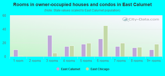 Rooms in owner-occupied houses and condos in East Calumet