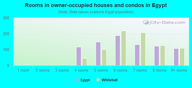 Rooms in owner-occupied houses and condos in Egypt