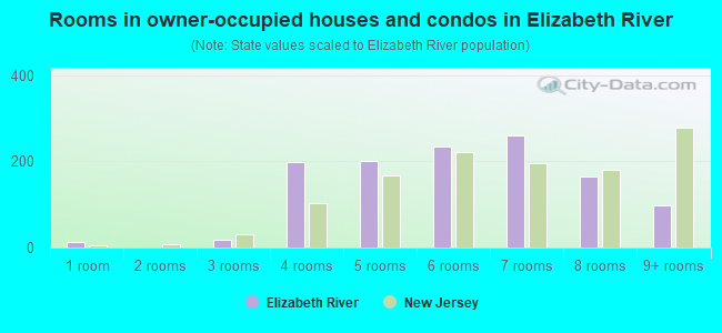 Rooms in owner-occupied houses and condos in Elizabeth River