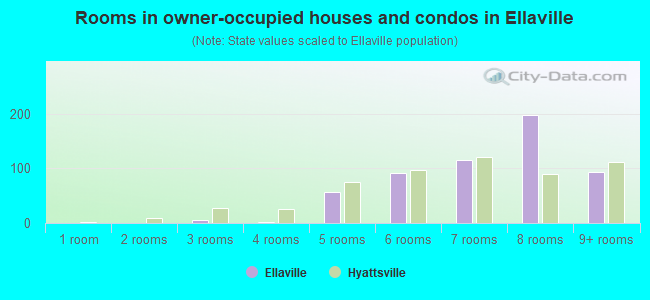 Rooms in owner-occupied houses and condos in Ellaville