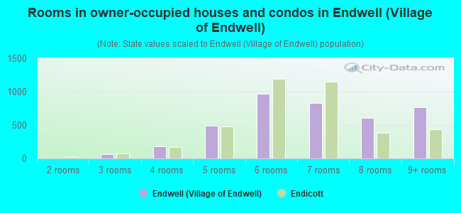Rooms in owner-occupied houses and condos in Endwell (Village of Endwell)
