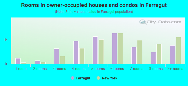 Rooms in owner-occupied houses and condos in Farragut