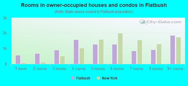 Rooms in owner-occupied houses and condos in Flatbush