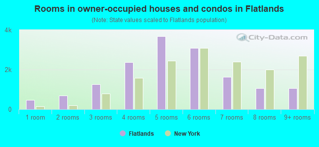 Rooms in owner-occupied houses and condos in Flatlands