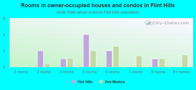Rooms in owner-occupied houses and condos in Flint Hills