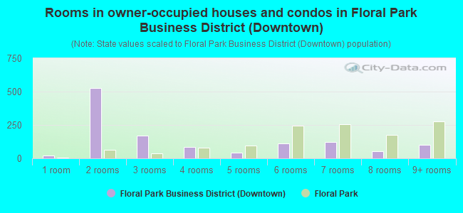 Rooms in owner-occupied houses and condos in Floral Park Business District (Downtown)