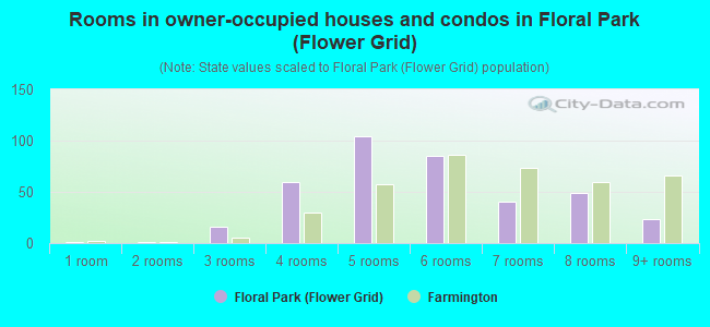 Rooms in owner-occupied houses and condos in Floral Park (Flower Grid)
