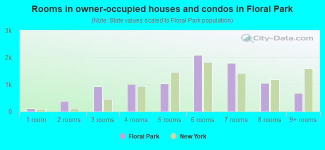 Rooms in owner-occupied houses and condos in Floral Park