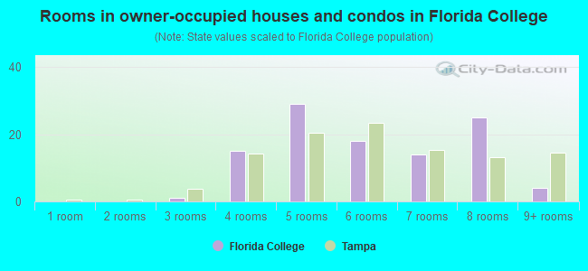 Rooms in owner-occupied houses and condos in Florida College