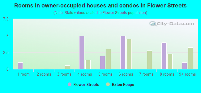 Rooms in owner-occupied houses and condos in Flower Streets