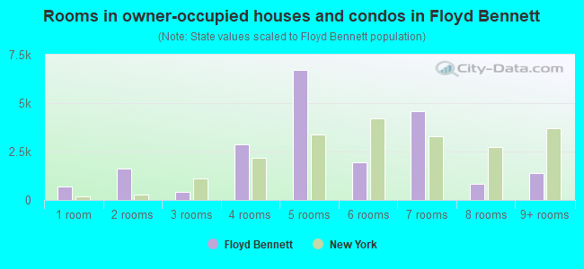 Rooms in owner-occupied houses and condos in Floyd Bennett
