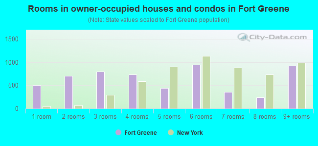 Rooms in owner-occupied houses and condos in Fort Greene