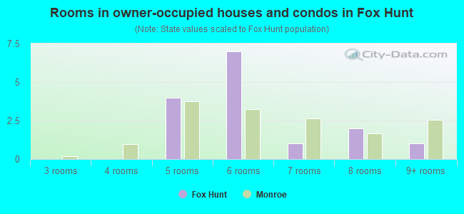 Rooms in owner-occupied houses and condos in Fox Hunt