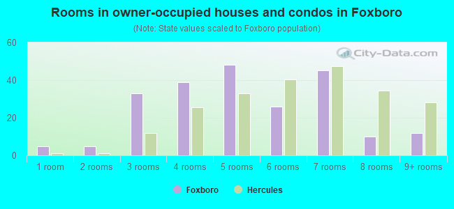 Rooms in owner-occupied houses and condos in Foxboro