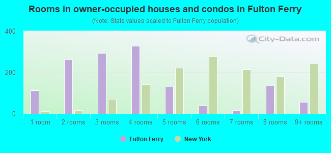 Rooms in owner-occupied houses and condos in Fulton Ferry